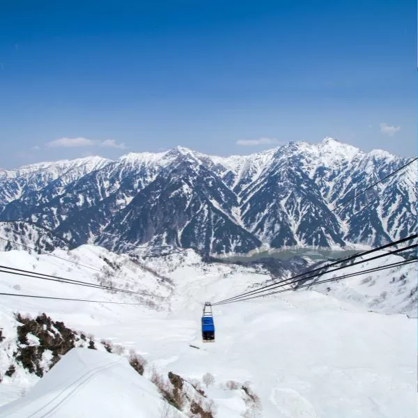 芝櫻物語立山黑部雪壁夢幻五日（酷航早午）