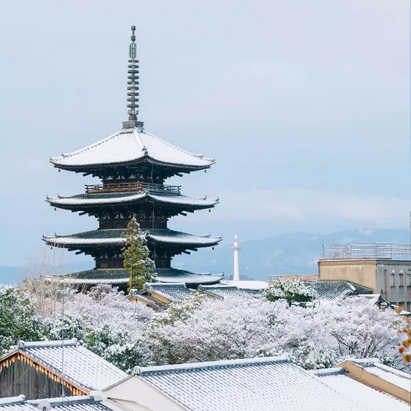 京阪神玩雪趣五日(泰越捷早午)