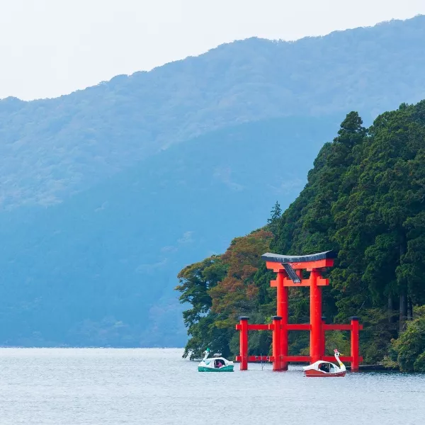 東京豪華絕景六日(星宇午午)